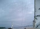 CIMG0443