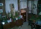 CIMG0827