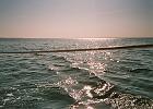 imm012_13